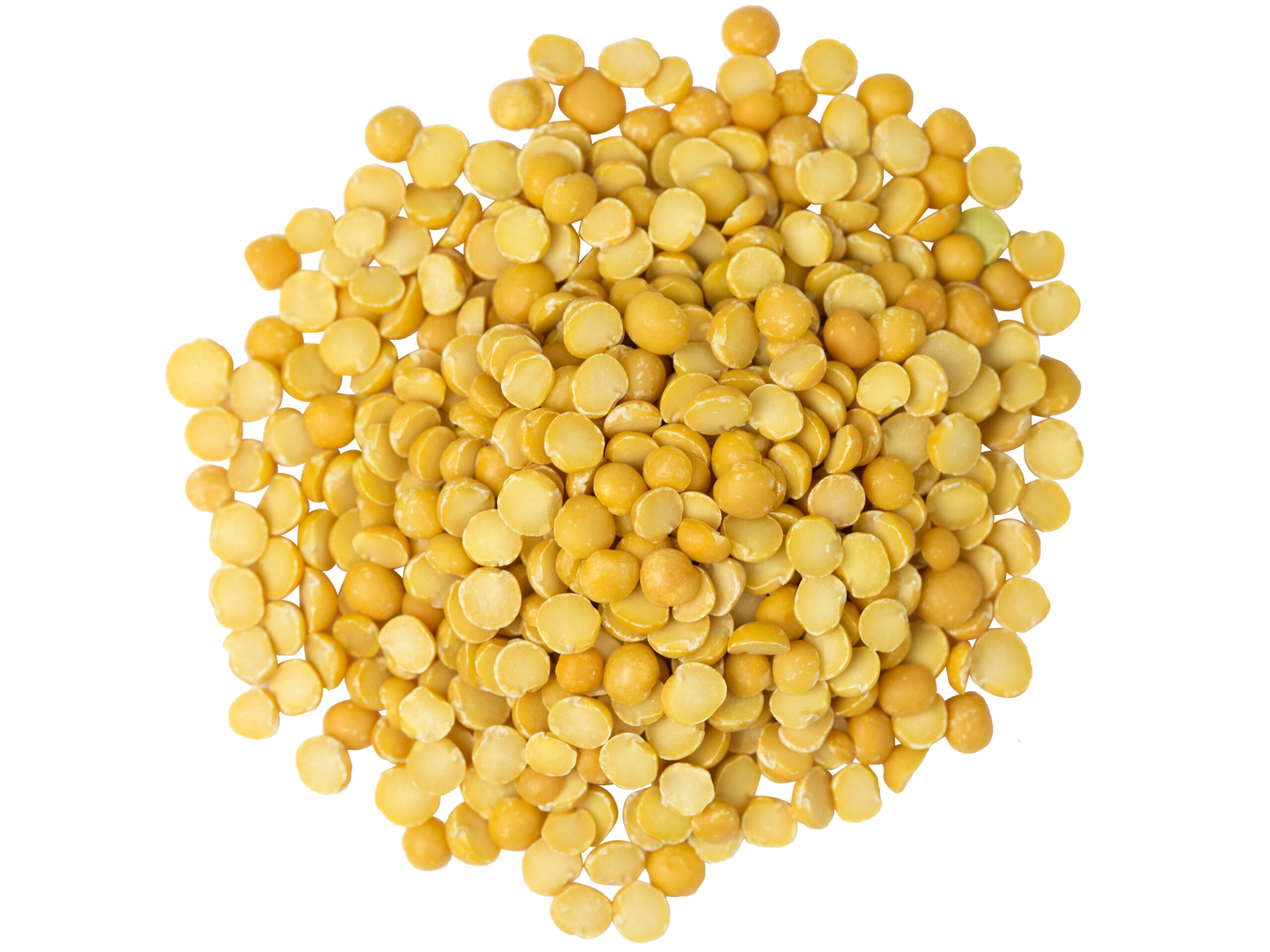 HACCP Certified Wholesale Iranian Split Peas for Embassies & Ministries Catering Services; On-Time Delivery & Dependable Supply Chain